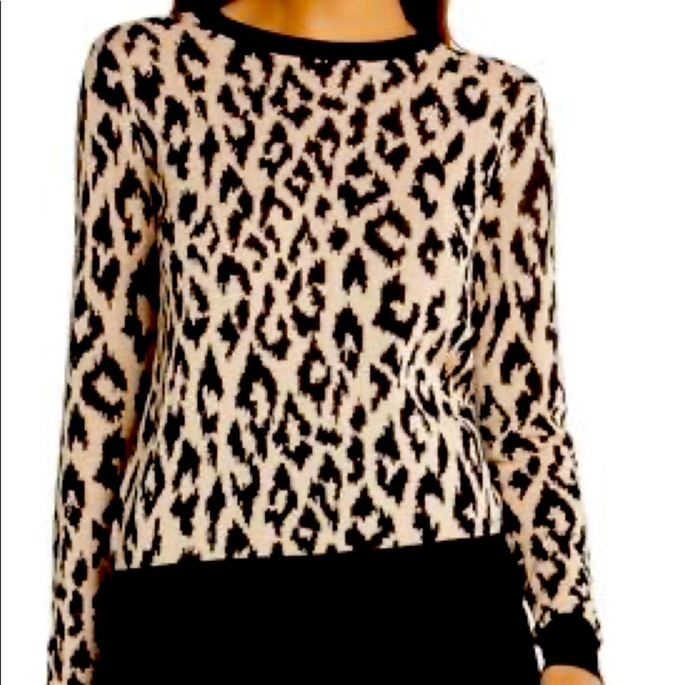 BCBG generation Sweater